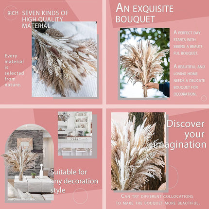 Natural Dried Rabbit Tail Pampas Grass Decorative Bundle - 80 Stems - Très Elite