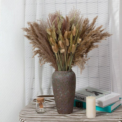 Natural Dried Rabbit Tail Pampas Grass Decorative Bundle - 80 Stems - Très Elite