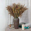 no vase A01