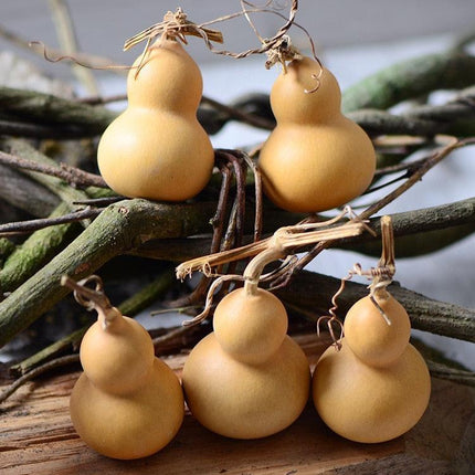 Natural Elegance 10-Piece Dried Gourd and Eternelle Plant Decor Set - Très Elite