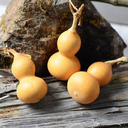 Natural Elegance 10-Piece Dried Gourd and Eternelle Plant Decor Set - Très Elite