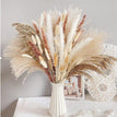 B 60PCS / No Vase