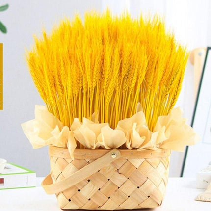 Natural Elegance Wheat Bundle - Timeless, Luxurious, and Abundant - Très Elite
