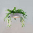 C design