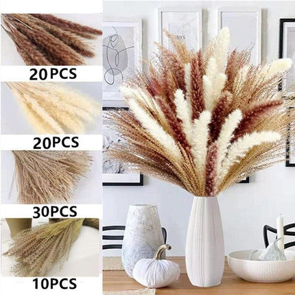 Nordic Chic Pampas Dried Flower Bouquet: Timeless Home Decor for Any Celebration - Très Elite