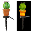 Single headed cactus