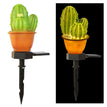 Three headed cactus