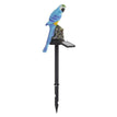 Blue Parrot