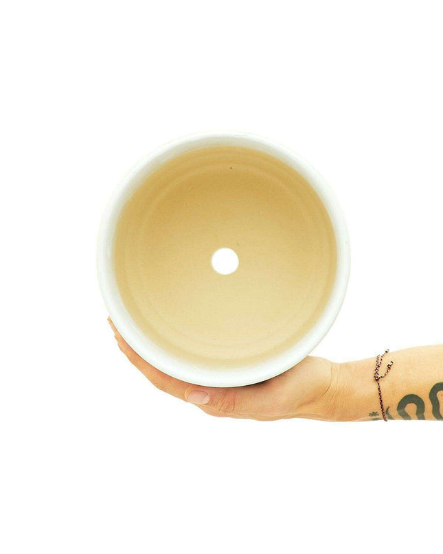 Modern Adjustable White Ceramic Planters with Custom Drainage Solutions