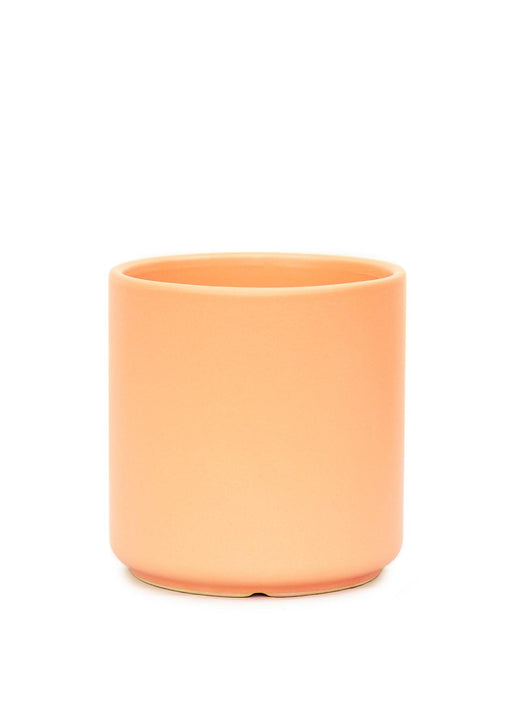 Peach Ceramic Planter: Elegant Modern Design with 5" Width