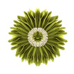 Round green-45x45cm / 1PCS  Cushion cover