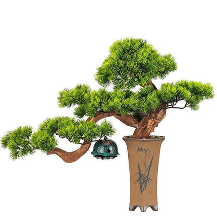 Prosperity Emblem Chinese Pine Bonsai - A Luxurious Symbol of Wealth and Abundance- Très Elite- Très Elite