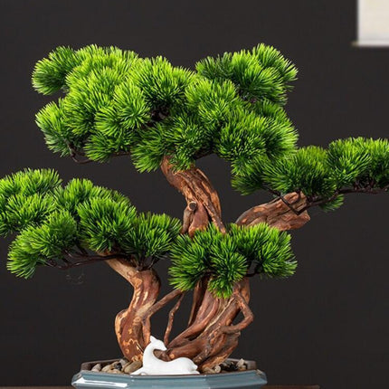 Prosperity Emblem Chinese Pine Bonsai - A Luxurious Symbol of Wealth and Abundance- Très Elite- Très Elite