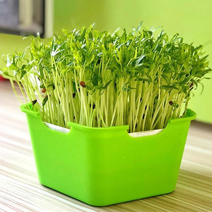 Quick Harvest Sprout Kit: Your Ultimate DIY Solution for Fresh, Nutritious Sprouts at Home - Très Elite