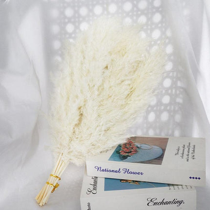 Reed and Blossom Serenity Dried Flower Arrangement - Très Elite