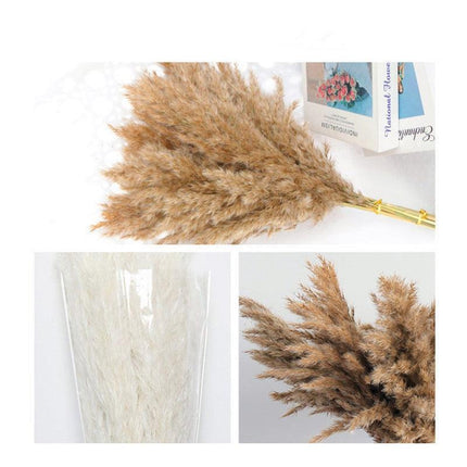 Reed and Blossom Serenity Dried Flower Arrangement - Très Elite