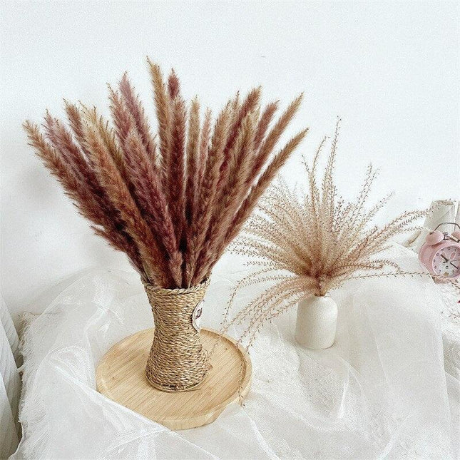 Chic Pampas Grass Home Decor Set - 15 Beautiful Dried Bouquets