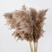 Elegant Reed and Pampas Grass Flower Arrangement - Luxurious Botanical Decor for Special Occasions and Home Décor