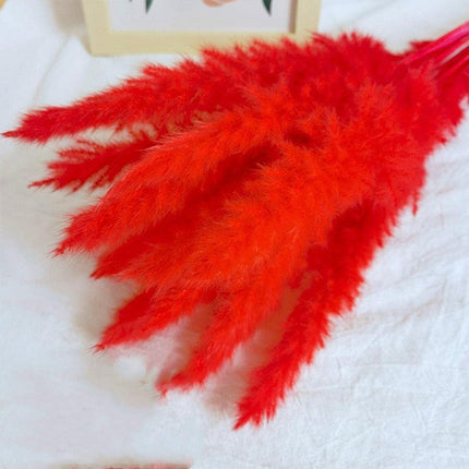 Chic Pampas Grass Home Decor Set - 15 Beautiful Dried Bouquets