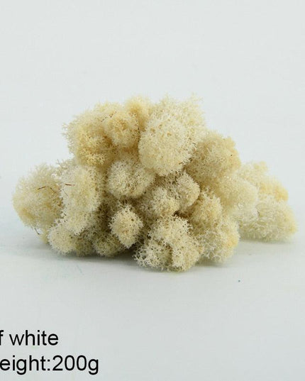 Timeless Greenery Art Creation Kit - Eternal Moss & Custom Grass Mix - 200g