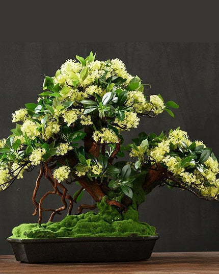 Tranquil Retreat Faux Pine Bonsai - Elegant Zen Decor Element