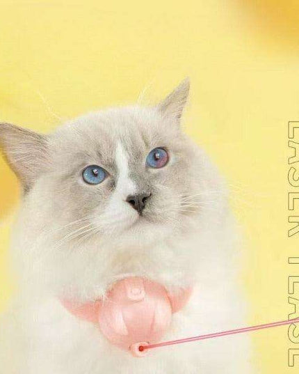 Smart USB Rechargeable Feather Cat Play Teaser Toy