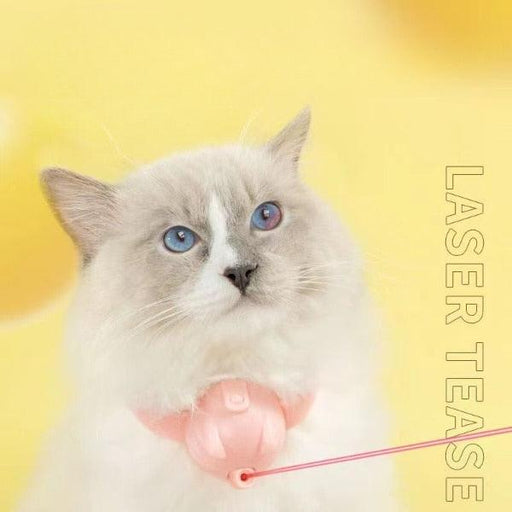 Entertain Your Cat for Hours with the USB Rechargeable Interactive Feather Teaser