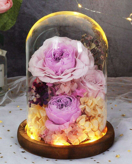 Timeless Blossom - Captivating Rose Preserved in Glass Dome