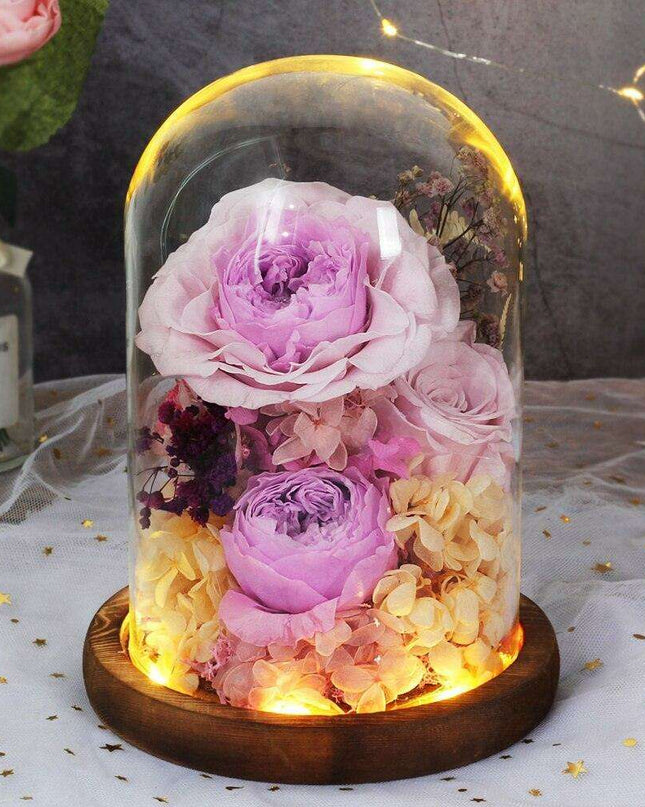 Timeless Blossom - Captivating Rose Preserved in Glass Dome