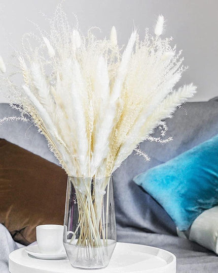 Whimsical White Pampas Grass Collection - 70-Piece Set