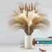 Natural Dried Pampas Grass Bouquet - 60pcs for Wedding & Home Decor