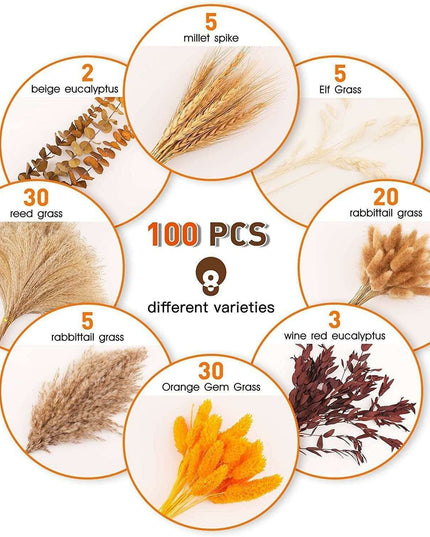 Chic Dried Pampas Grass and Bunny Tail Floral Arrangement