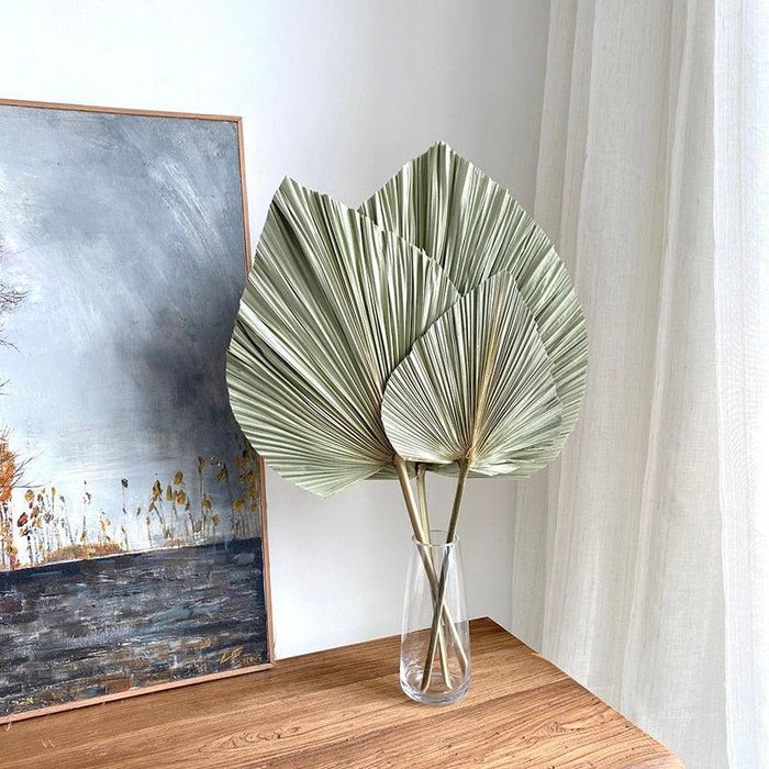 3-Piece Large Dried Palm Fronds for Boho Decor