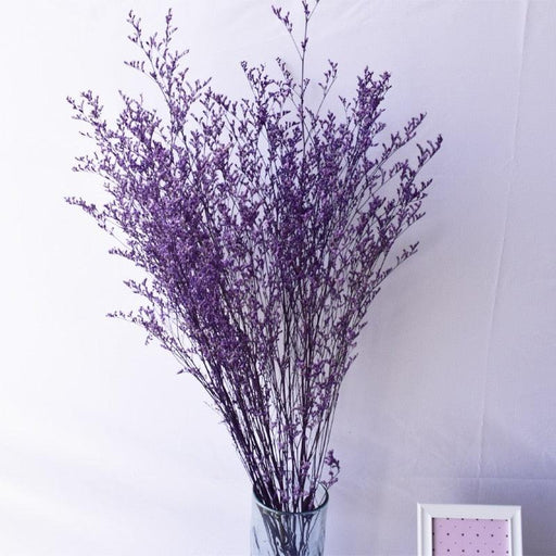 Elegant Babysbreath Rustic Dried Flower Bundle - Versatile Wedding & Home Accent