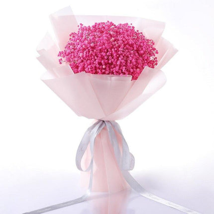 Eternal Gypsophila Bliss: Preserved Floral Wonder for Lasting Memories