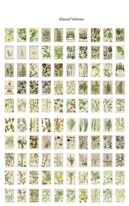 Artisan Elegance: 100-Piece Luxury Paper Crafting Collection