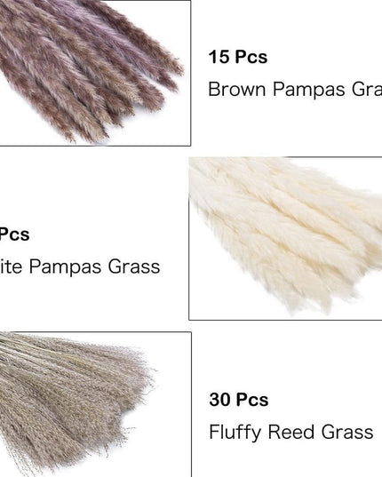 Bohemian Dream Pampas Grass Set - 95/60 Stem Collection