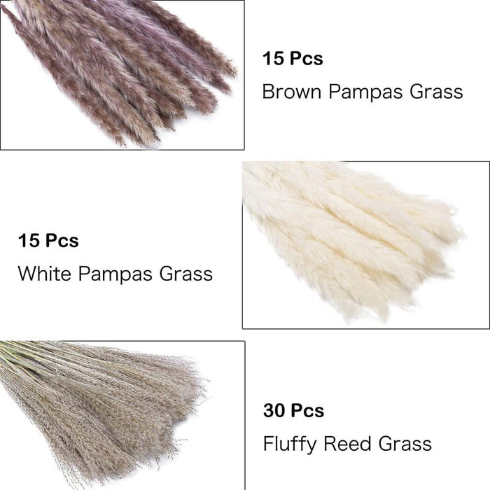 Boho Chic Natural Dried Pampas Grass Bundle - Set of 95/60 Stems