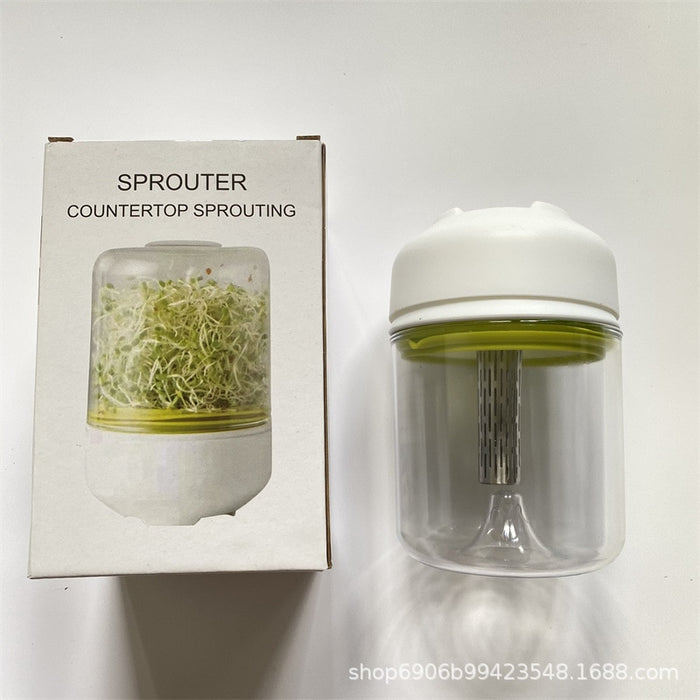 Modern Glass Vessel Sprouting Kit for Year-Round Indoor Gardening