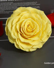 golden yellow / 9-10cm(1pc)