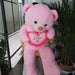 Crabby Pink Jumbo Plush Teddy - Choose Your Ideal Size!