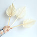 Tropical Paradise Palm Leaf Hand Fan for Exotic Ambiance