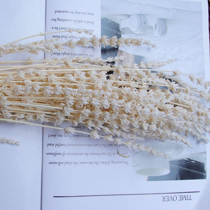 Elegance in Bloom: Exquisite Dried Lavender Bouquet for Weddings and Home Aesthetics