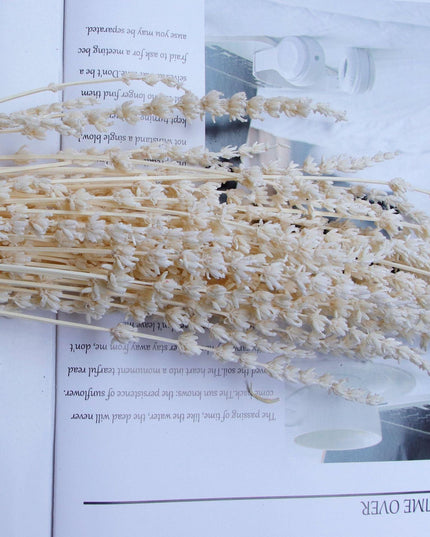 Elegance in Bloom: Exquisite Dried Lavender Bouquet for Weddings and Home Aesthetics