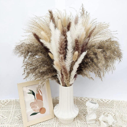 Natural Dried Rabbit Tail Pampas Grass Decorative Bundle - 80 Stems