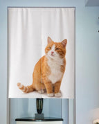 F-Door curtain