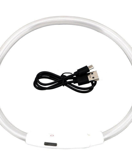 Illuminated USB Rechargeable Dog Collar for Optimal Night Safety and Visibility