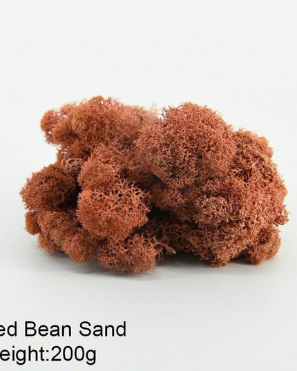 Timeless Greenery Art Creation Kit - Eternal Moss & Custom Grass Mix - 200g