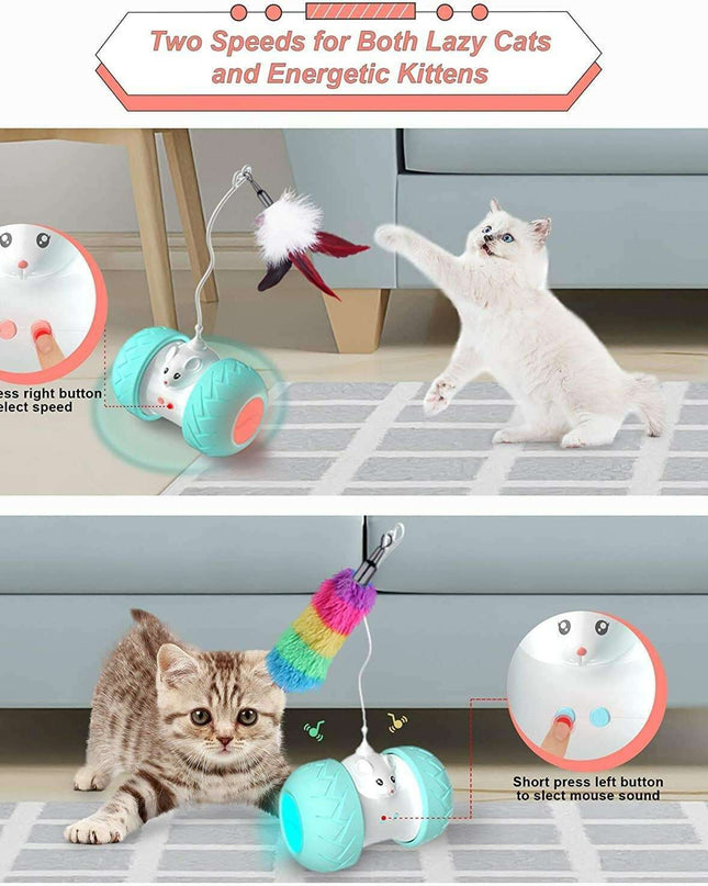 Interactive LED Cat Toy with Feathers and Squeaking Mouse