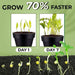 Quick Rooting Powder: Organic Plant Growth Stimulant for Effortless Propagation